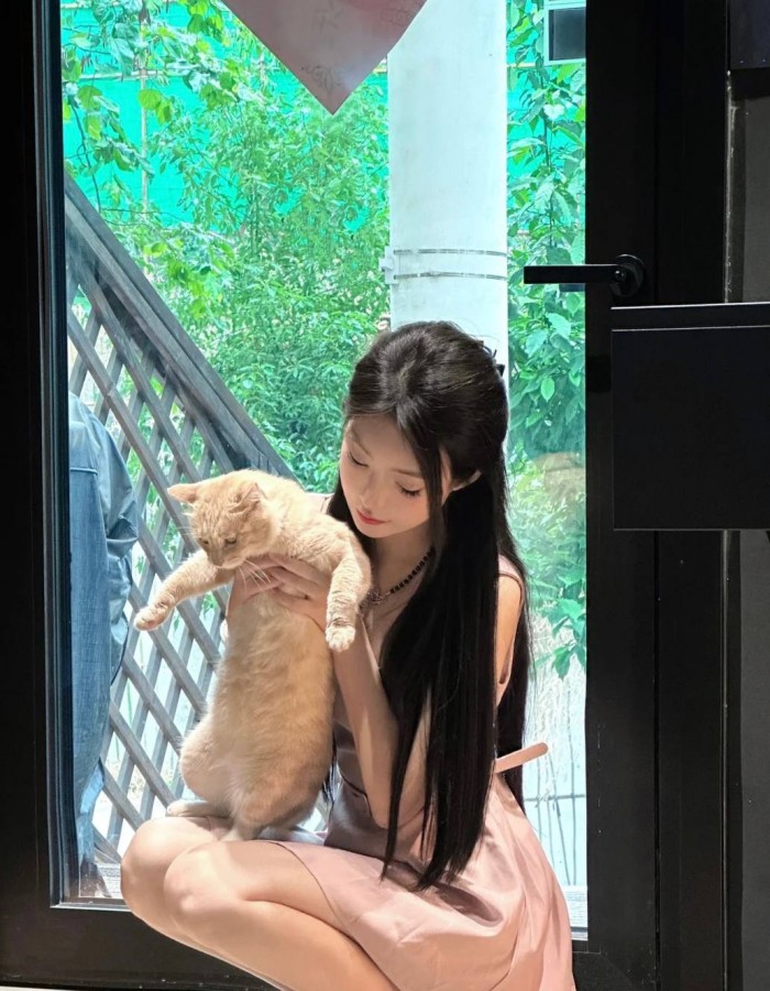 三年成全免费高清观看电视剧,HD中字高清在线观看